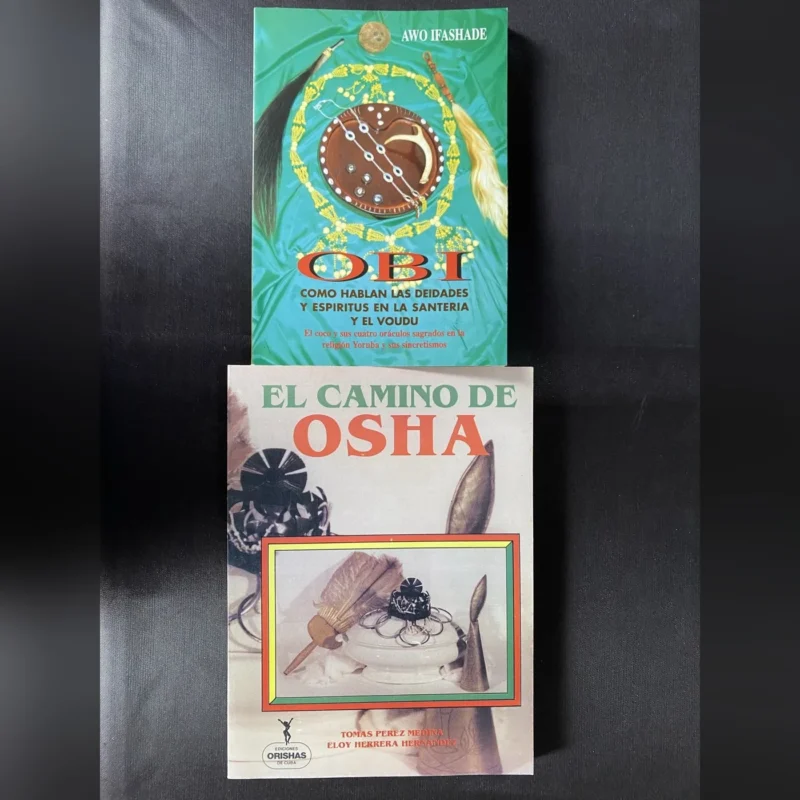 Obi y El Camino a la Osha