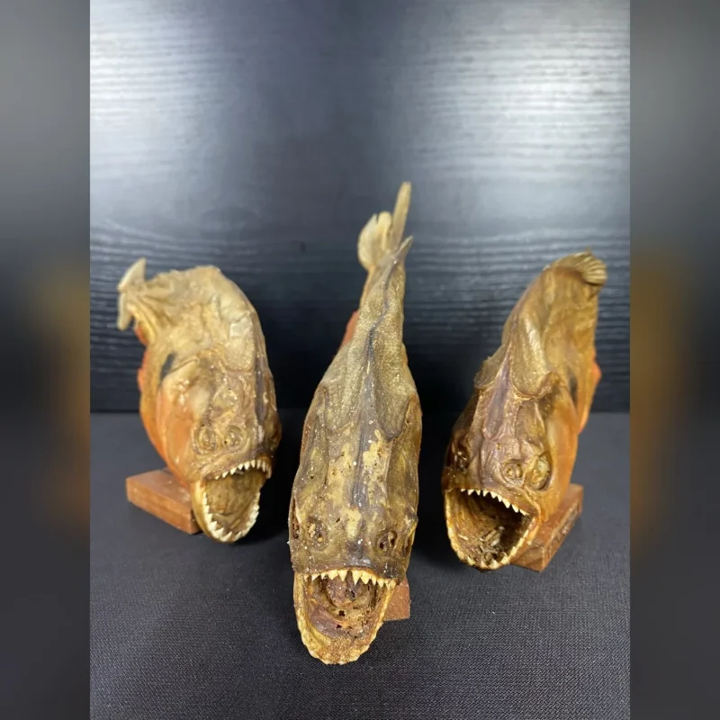 Pirañas del Amazonas