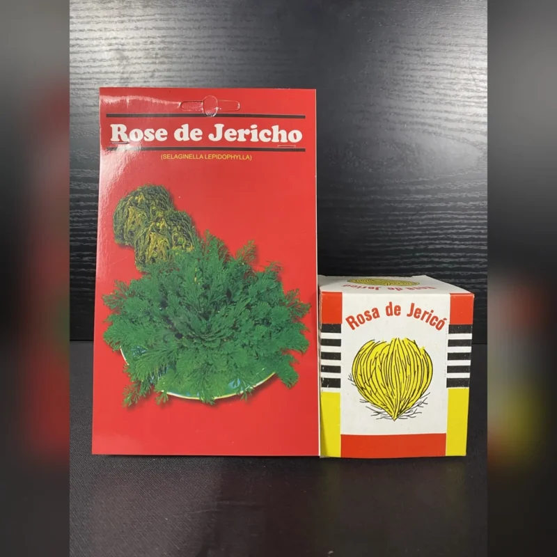 Rosa de Jericó